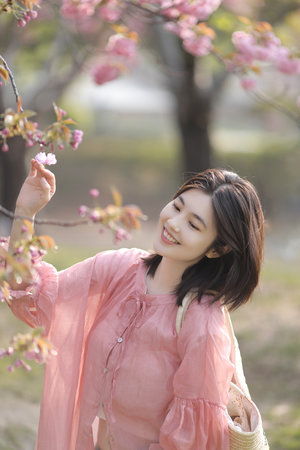 日本欧美纯爱电影在线播放